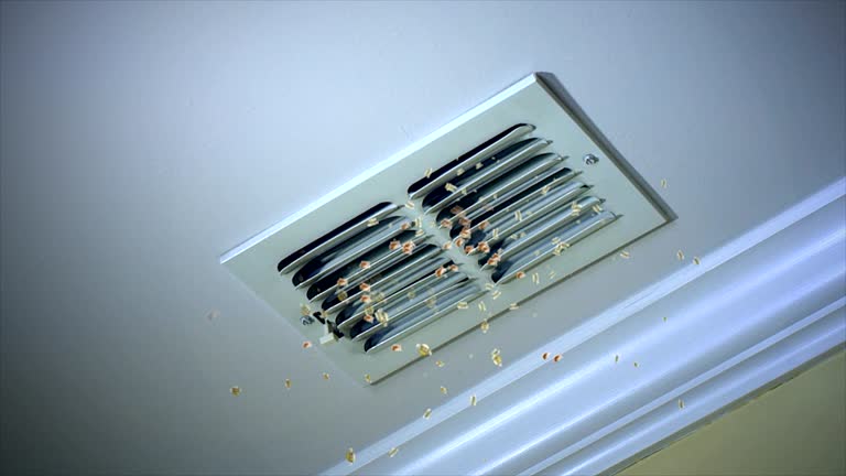Best Air Vent Cleaning Services  in Mill Neck, NY