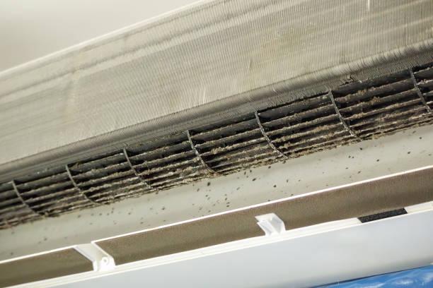 Best HVAC Duct Inspection Services  in Mill Neck, NY